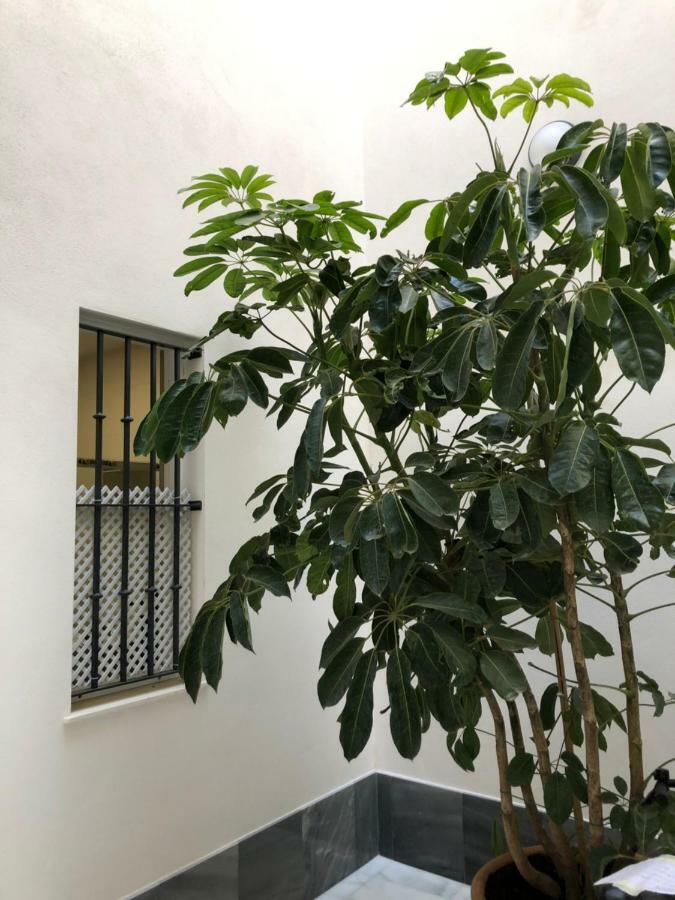 Jano Puertatierra Lejlighed Cádiz Eksteriør billede